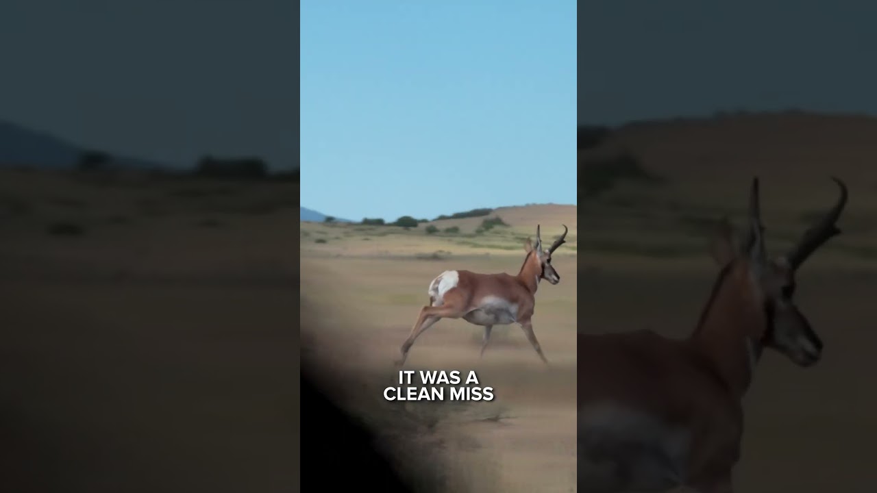 🏹 Aubrey Went After Pronghorn In Colorado | Adventure Highlight