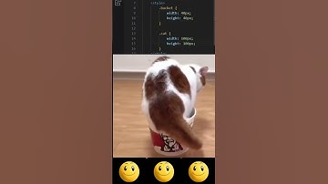 Too Big to Quit 🤣🤣🤣🤣 #css  #webdesign #coding #frontendcourse #cssboxmodel #funnyvideos #funnycats