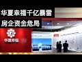 中国头部房企华夏幸福千亿暴雷, 房企资金危局(字幕)/Debt Crisis of China Fortune Land Development/王剑每日观察/20210203