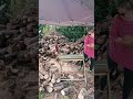 Chainsaw Still firewood