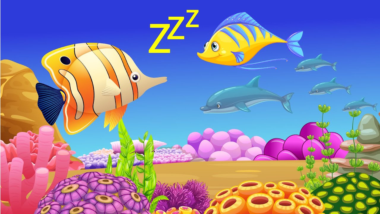 Bedtime Lullabies and Calming Undersea Animation Baby fish Aquarium ...