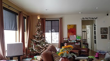 Amazon Echo Control4 driver