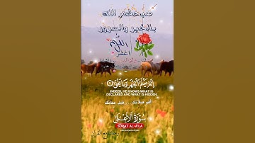 تلاوة خاشعة عطرة مباركة جميلة عذبة للشيخ ماهر المعيقلي ماتيسر من سورة الأعلى