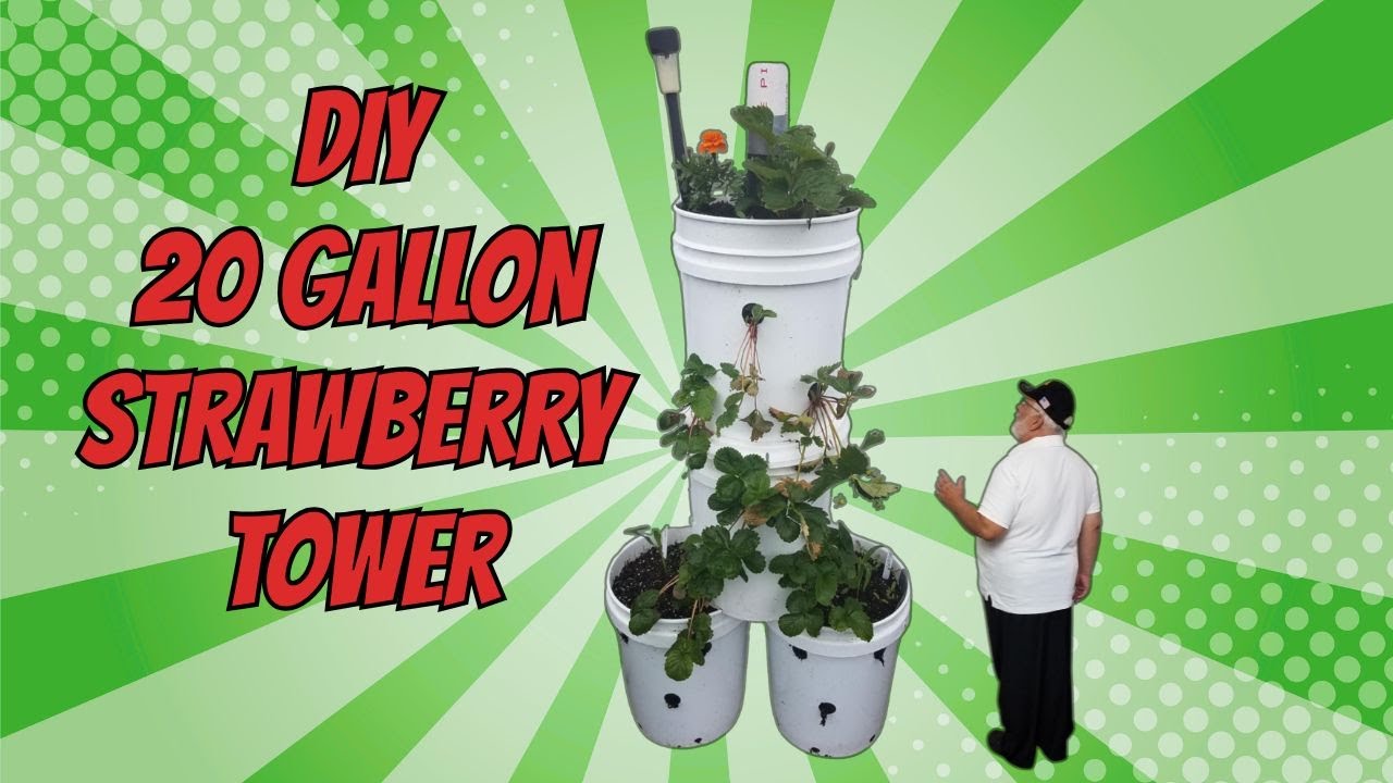 DIY: I Built a 20-Gallon Strawberry Tower — And It’s Glorious! 🍓🛠️