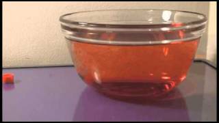 Trial2_youTube.mov