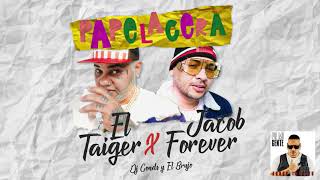 11. Papelacera - Jacob Forever ❌ El Taiger (Audio)