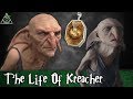 The Life Of Kreacher The Elf