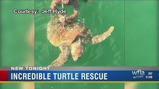 Turtle Rescue