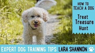 How to teach your dog treat treasure hunt - Expert Dog Training Tips by Lara Shannon 292 views 1 year ago 2 minutes, 52 seconds