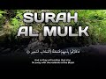 Nightly Quran Habit | Surah Al Mulk Healing Voice to Stop Overthinking