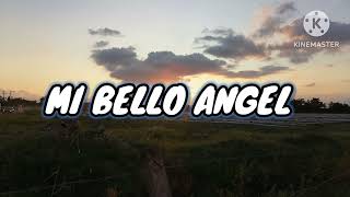 Mi bello angel - Natanael cano (Letra/Lyrics)