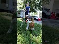 Baby video