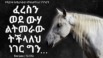 የአሜሪካውያን አባባሎች/ American proverbs  Enelene l inspire ethiopia l dinklijoch ,ababaloch