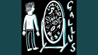 Video voorbeeld van "Gallus. - Looking Like a Mess"