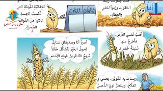 حبّة القمح - العربية لغتي - الصف الثالث