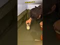 Smart Drain Trick 😲#shorts