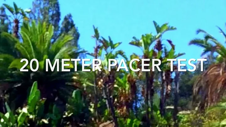 Fitnessgram 20 Meter Pacer Test 2021 Hip Hop Remix