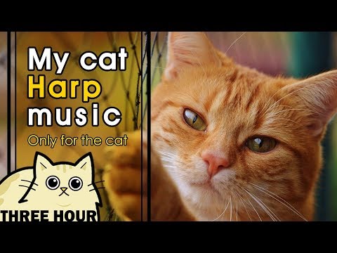 [my-cat-harp-music]-고양이-진정을-위한-부드러운-하프-소리,-고양이-자장가(soft-harp-sounds-for-cat-soothing,猫ハーフ音楽)