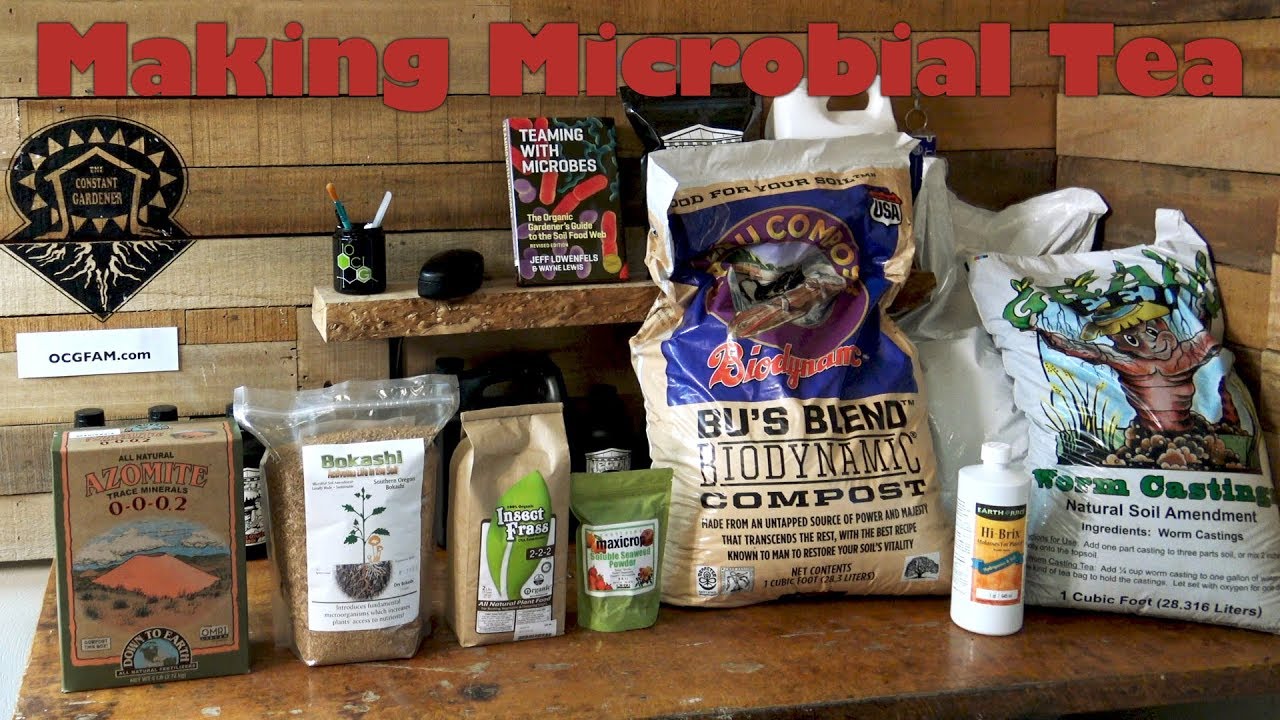 More About Microbial Tea With Forest Ocgfam 53 Youtube