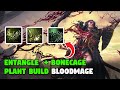 [ Live ] Gardener Blood Mage  Build | Path Of Exile 2 |