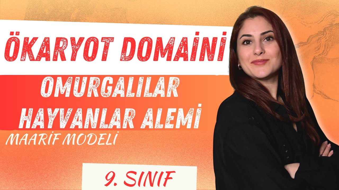 9) ÖKARYOT DOMAİNİ | OMURGALILAR | HAYVANLAR ALEMİ | 9. SINIF BİYOLOJİ | MAARİF MODELİ