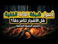 شبكة إنترنت سرية تحت أقدامنا كيف تتواصل الأشجار وتخطط للمستقبل