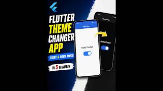 Build Theme Changer App in Flutter | Light &amp; Dark Mode (Beginner)