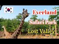 Safari Park Everland Korea - Everland Safari Park South korea - Everland Lost Valley, part 1