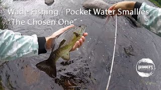 Fly Fishing: Wade Fishing, Pocket Water Smallies on The Chosen One 