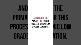 Stress Is Fueling “Inflammaging”