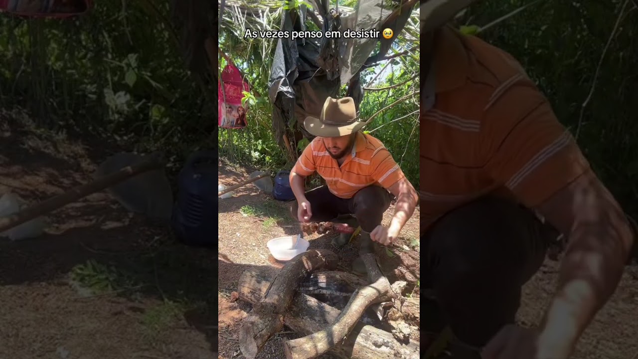 Limpando a plantação de cana e milho 