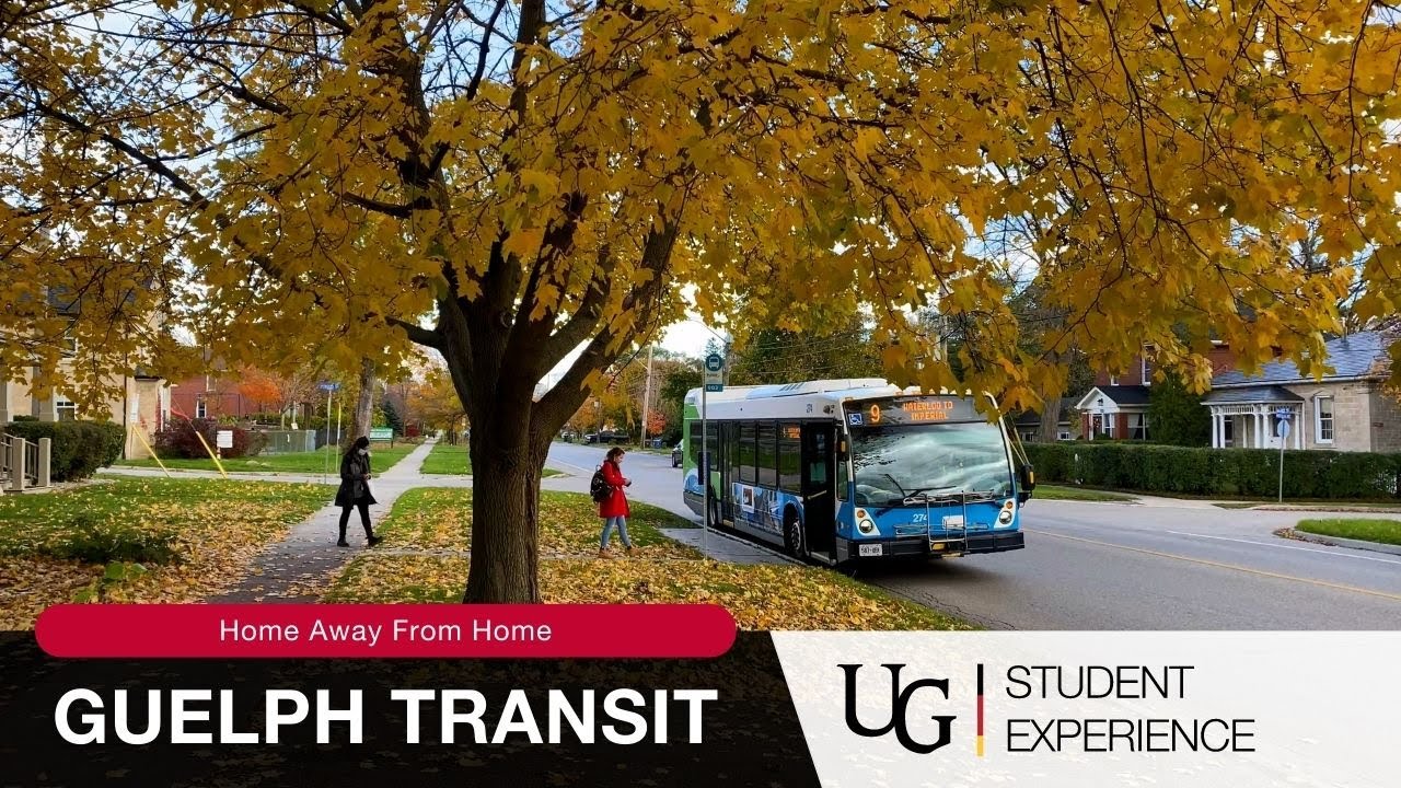 Guelph Transit  University of Guelph