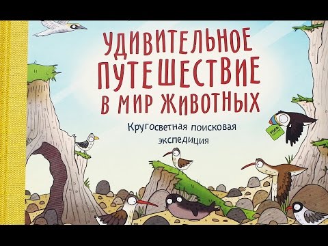 Удивительное путешествие в мир животных