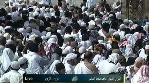 الشيخ نايف السالم سورة الروم .