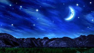 This White Noise Can Help You Sleep | White Noise Sounds for Sleeping