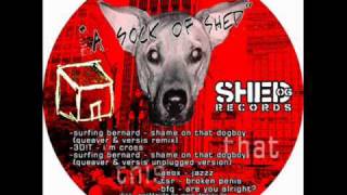 Surfing Bernard - Shame On That Dogboy(Queaver & Versis Unplugged Version)