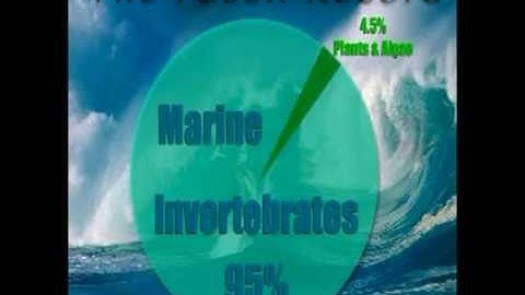 Earth History and the Record of the Rocks whit Don patton,Ph.D.(absolute proof for creation)