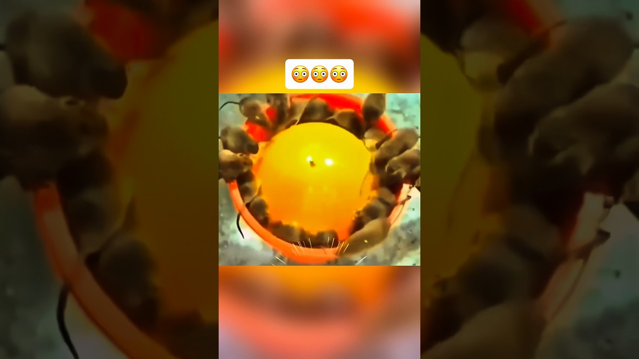 This Is How Gambling Works 🤯