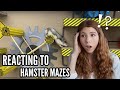 Reacting to hamster mazes