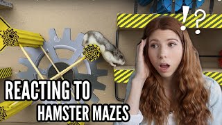 Reacting to Hamster Mazes...