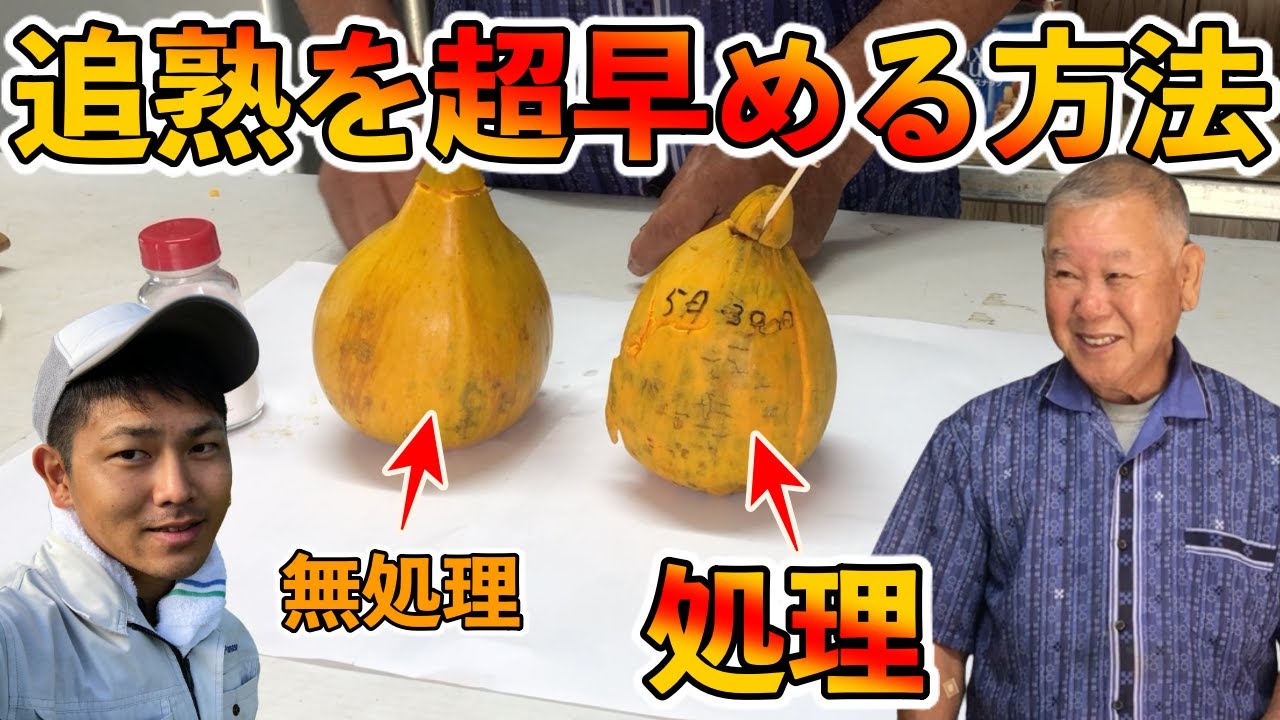Shocking] How to speed up ripening! A group to spread the word