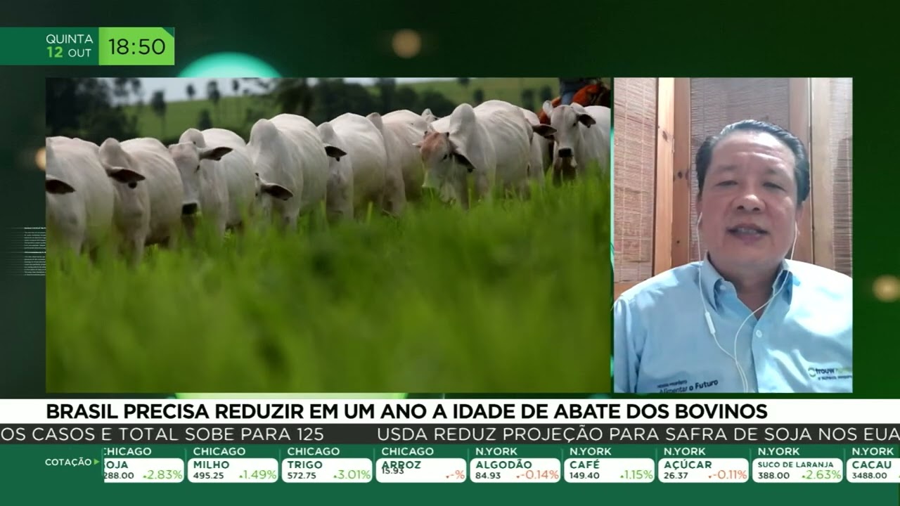 Brasil precisa reduzir em ano a idade de abate dos bovinos