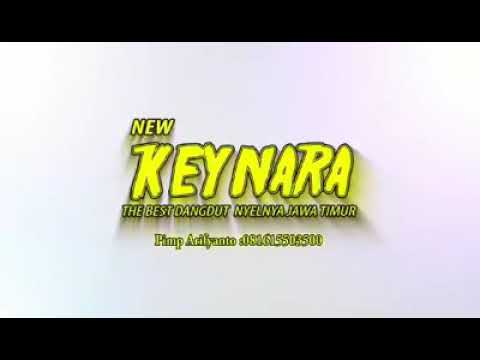 SEBERKAS SINAR - VIVI OLIVIA - NEW KEYNARA - EKO GAME - NEKAD'S LIGHTING - ELVAS AUDIO