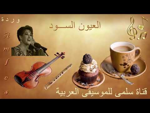 144  3 وردة العيون السود