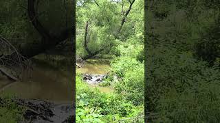 The wisdom of flowing water, being in the present moment, remembering to trust the flow of life ￼