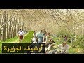عادات احتفال الإيرانيين بعيد النيروز 1999 3 21