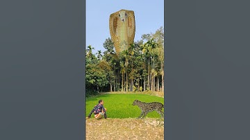 Anacondas and leopards attack one inside the field #vfx #shorts #wildlife #anaconda #leopard
