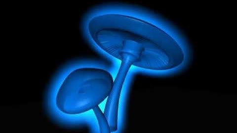 Glowing Mushroom animation