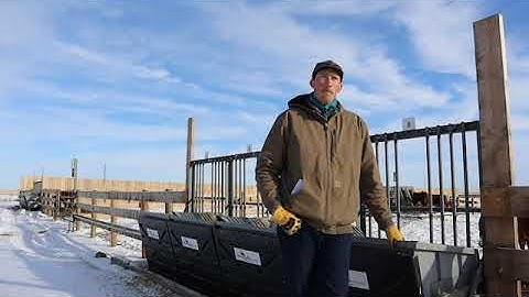 Using Residual Feed Intake on the Ranch - Part 1