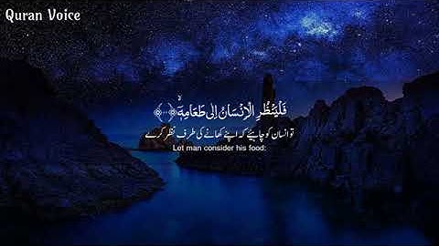 طيب مسمعك //القارئ أحمد النفيس /سورة عبس كاملة